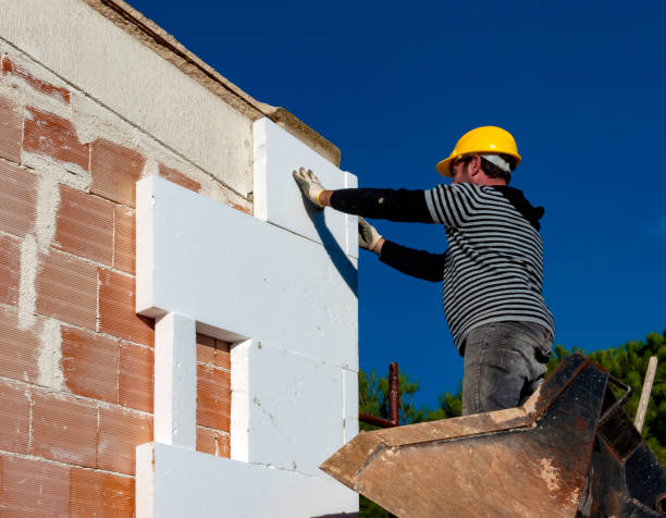 Best Local Insulation Services  in Buda, TX
