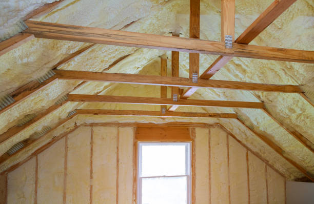 Best Attic Insulation Installation  in Buda, TX