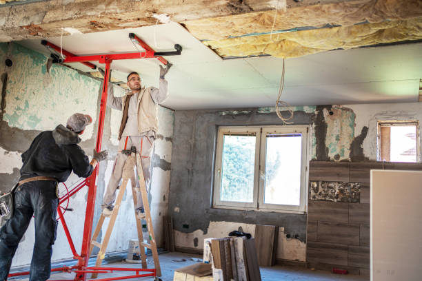 Best Insulation Repair Services  in Buda, TX