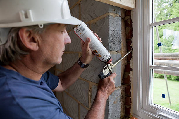 Best Insulation Replacement Services  in Buda, TX