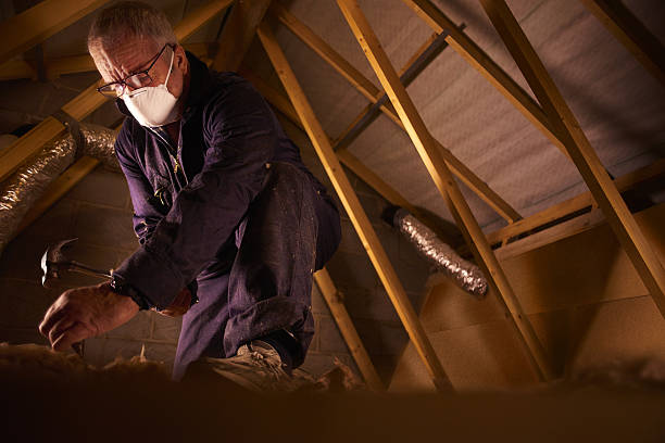 Best Garage Insulation Installation  in Buda, TX